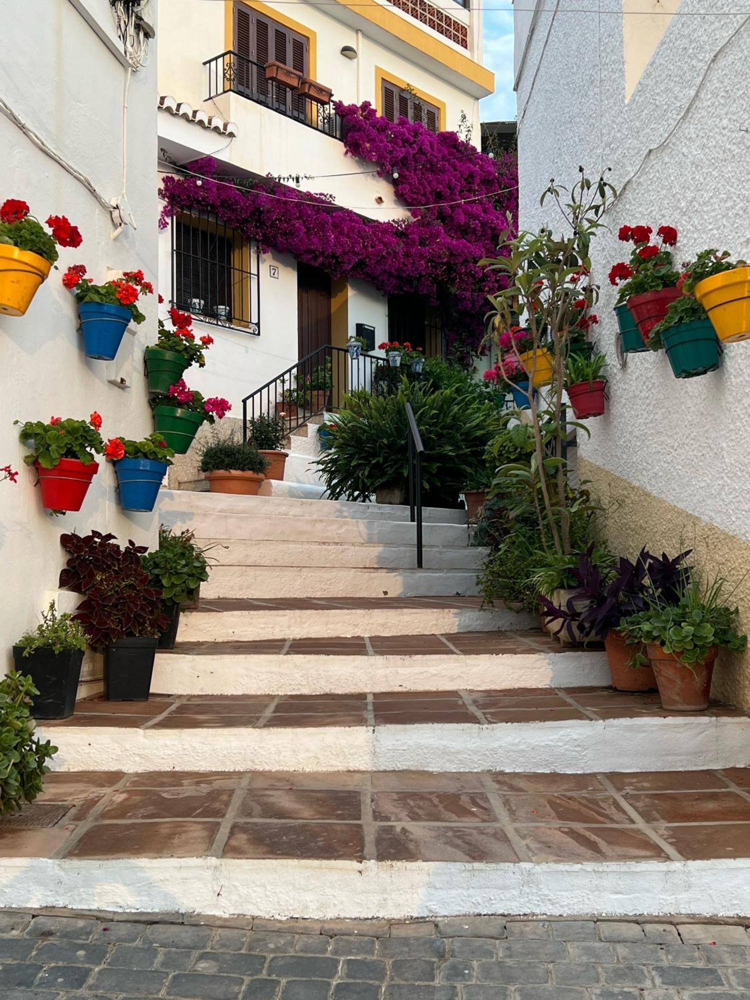 Casa Quijote Daire Granada Dış mekan fotoğraf