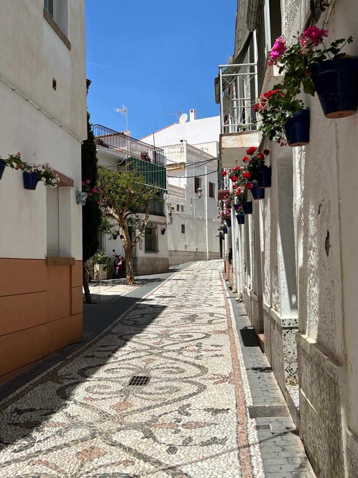 Casa Quijote Daire Granada Dış mekan fotoğraf