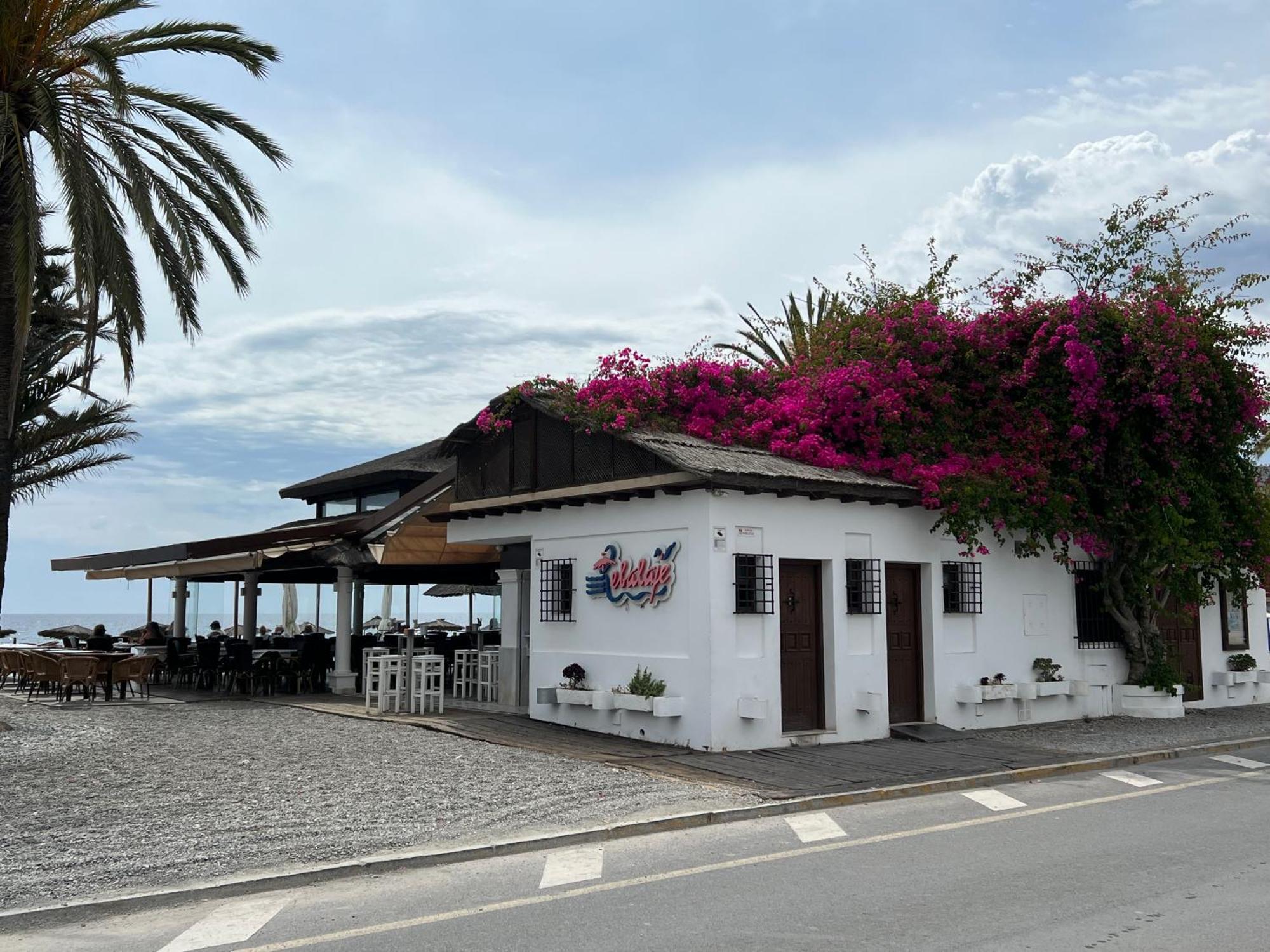 Casa Quijote Daire Granada Dış mekan fotoğraf